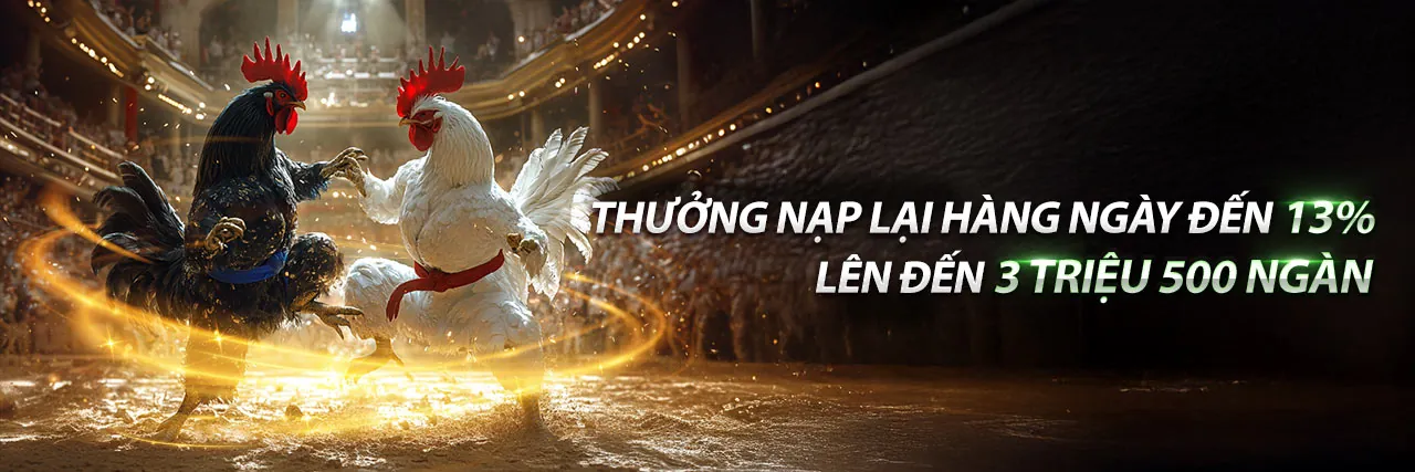 Sân đấu đá gà trực tiếp c4 sôi động với khán giả